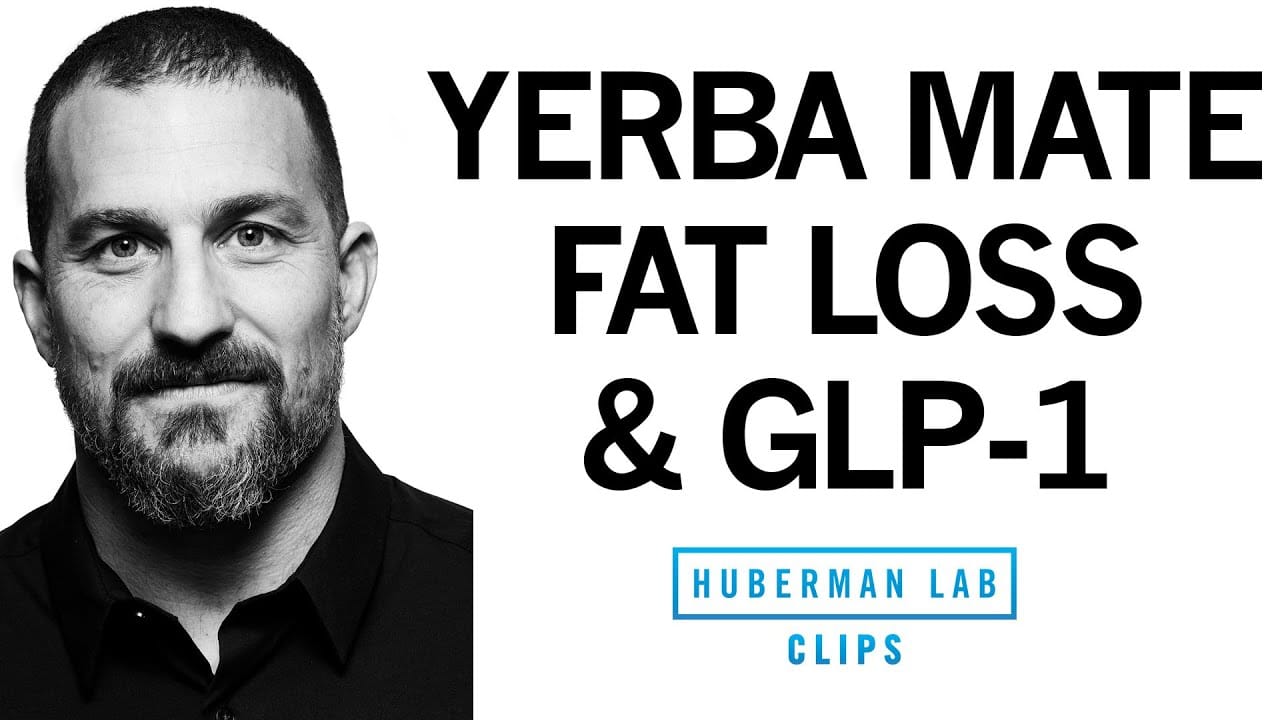 What is GLP-1 & How Does It Reduce Appetite & Promote Weight Loss? | Dr. Andrew Huberman rootF IMG 66d0dd5056a5b